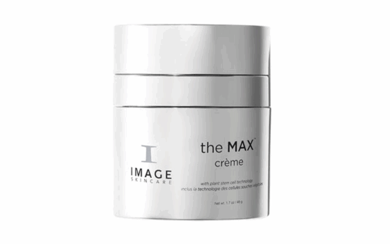 THE MAX - Crème 48g