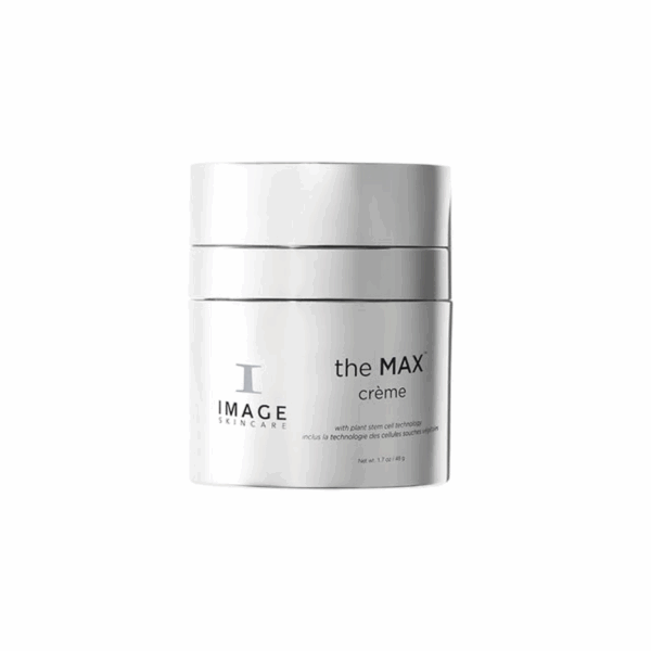 THE MAX - Crème 48g