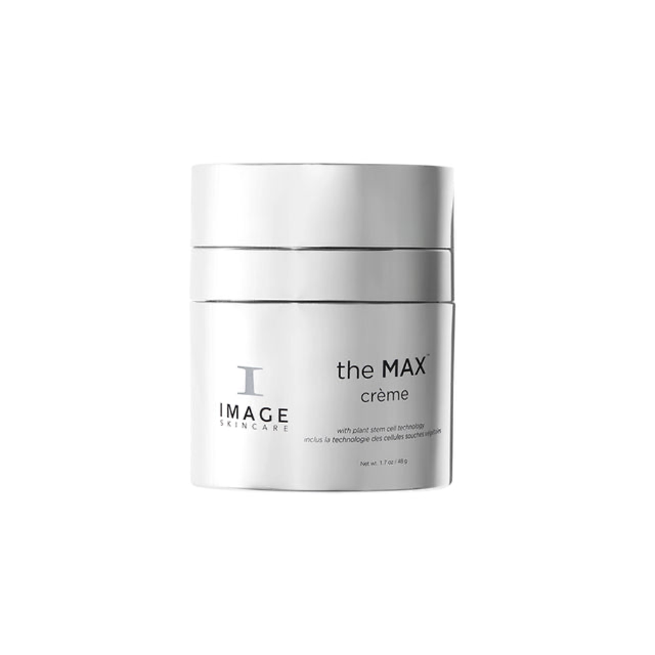 THE MAX - Crème 48g